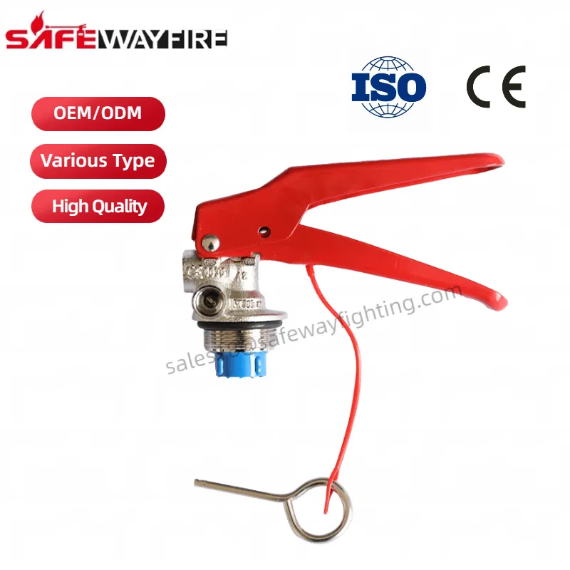 Safewayfire Manufacture Good Quality 3-12kg ABC Dry Powder DCP Fire Extinguisher Valve