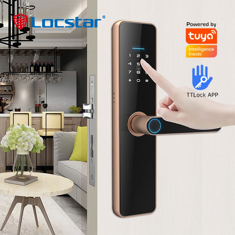 Fingerprint Wifi Digit Electronic Digital Tuya Ttlock Electric Handle Security Keys Smart Door Lock For Double Door