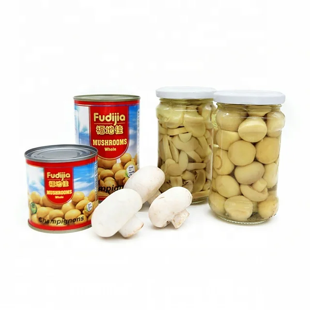 Hot Selling Wholesale Canned vegetables Canned Mushroom slice
