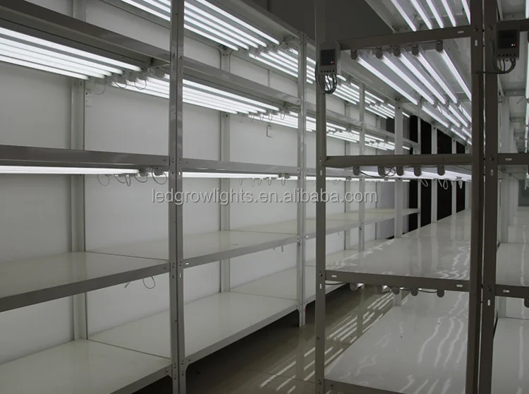 Laboratory banana flower Cold rolled steel tissue culture rack