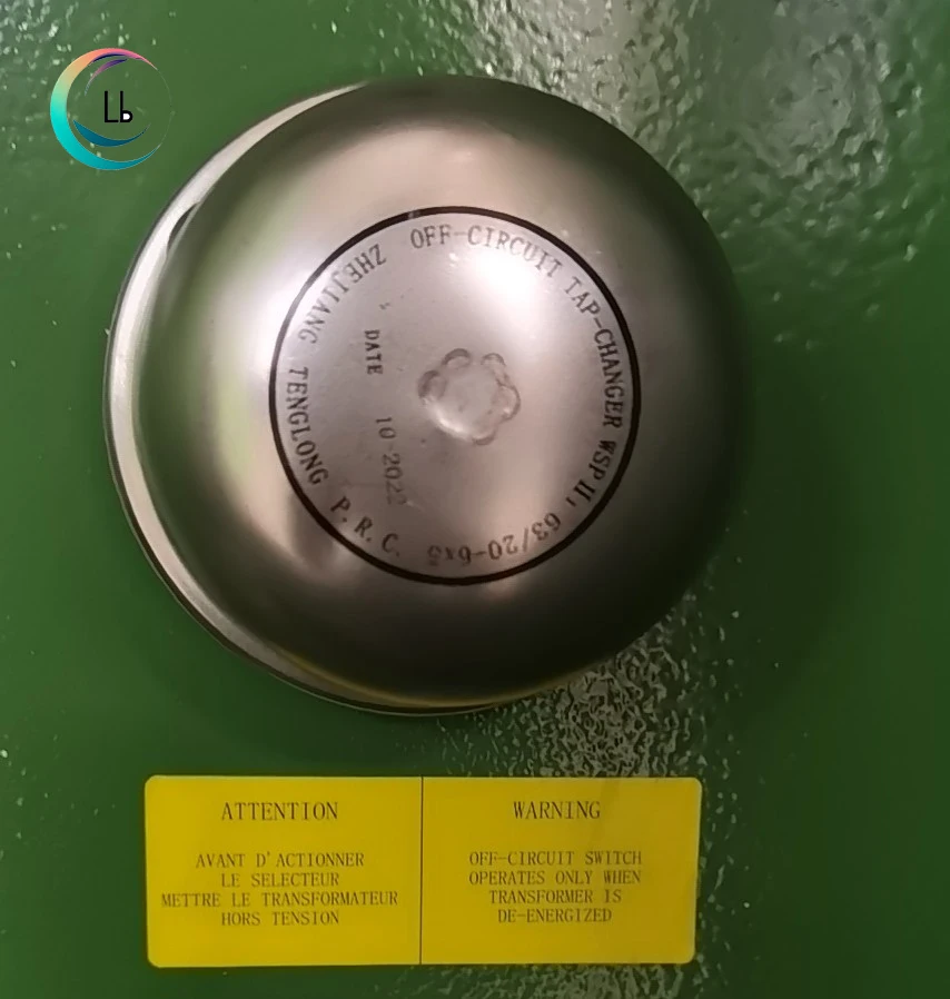 LVBIAN 11kV electrical distribution substation compact transformer,pad mounted transformer 3 phase distribution transformer