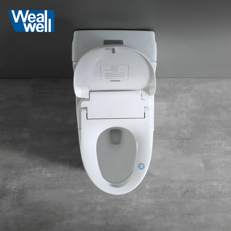 Wealwell sanitary ware auto cleaning toilet bidet with automatic flip cover auto open