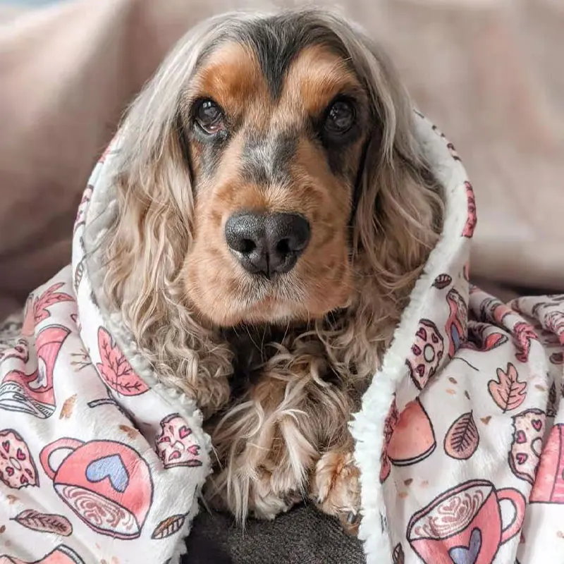 Hot Selling Washable Comfortable Soft Blanket Dogs Pet Bed Accessories printed pattern blanket custom design