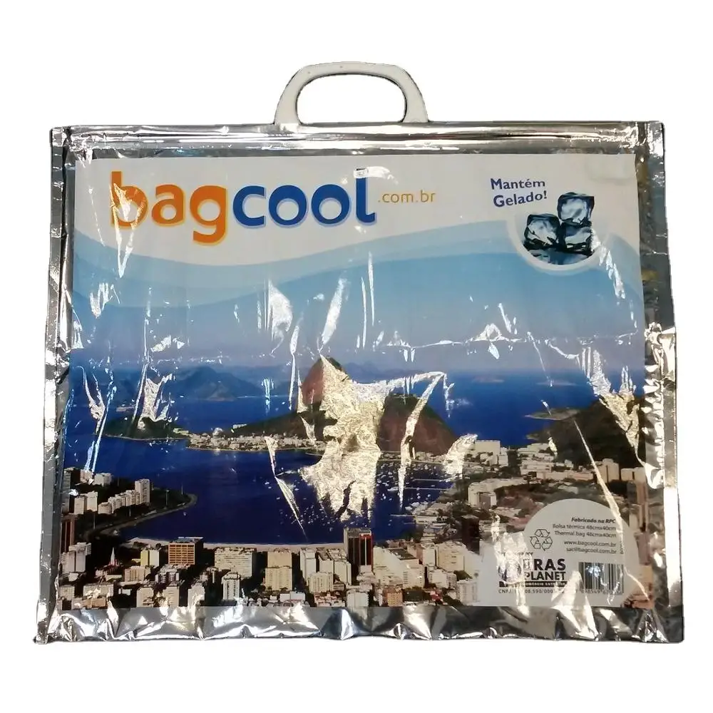 
Plastic Cooler Insulated Insulation Shopping Bag 
