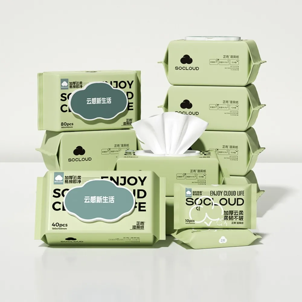 Factory Custom Disposable Baby Adult Antibacterial Cleaning Wet Wipes Flushable Biodegradable Bathroom Toilet Wet Wipes