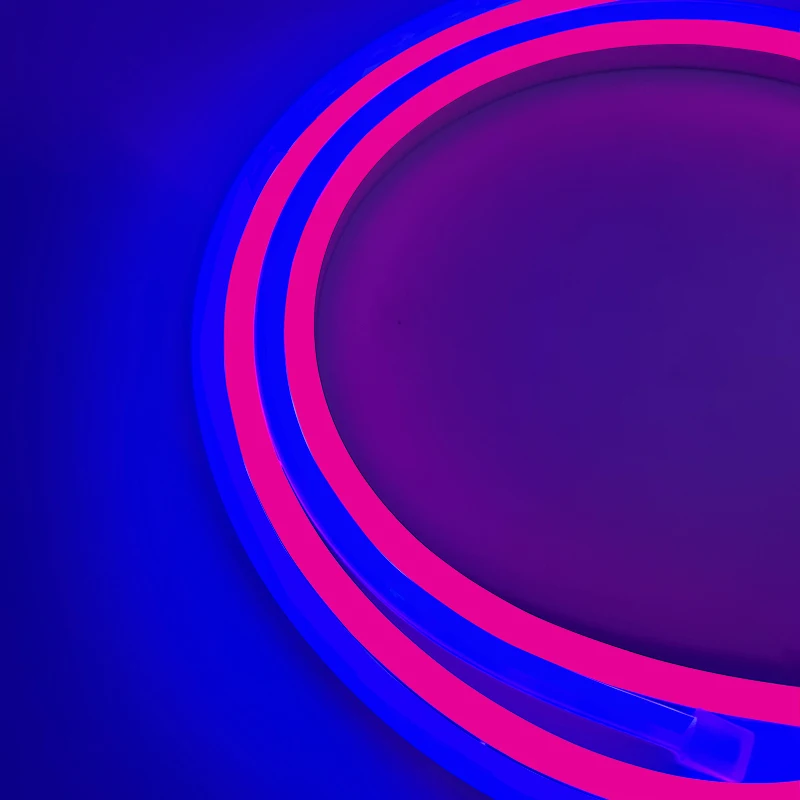 competitive price large wholesale 5m set 50m roll 12v 6x12mm silicone led neon kits led neon lights