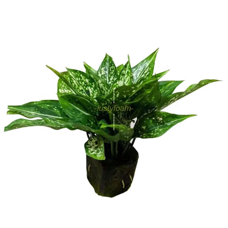 Раствор для выращивания саженцев meida, средство для выращивания корней, гитропонное средство для распространения, среднее средство для выращивания растений