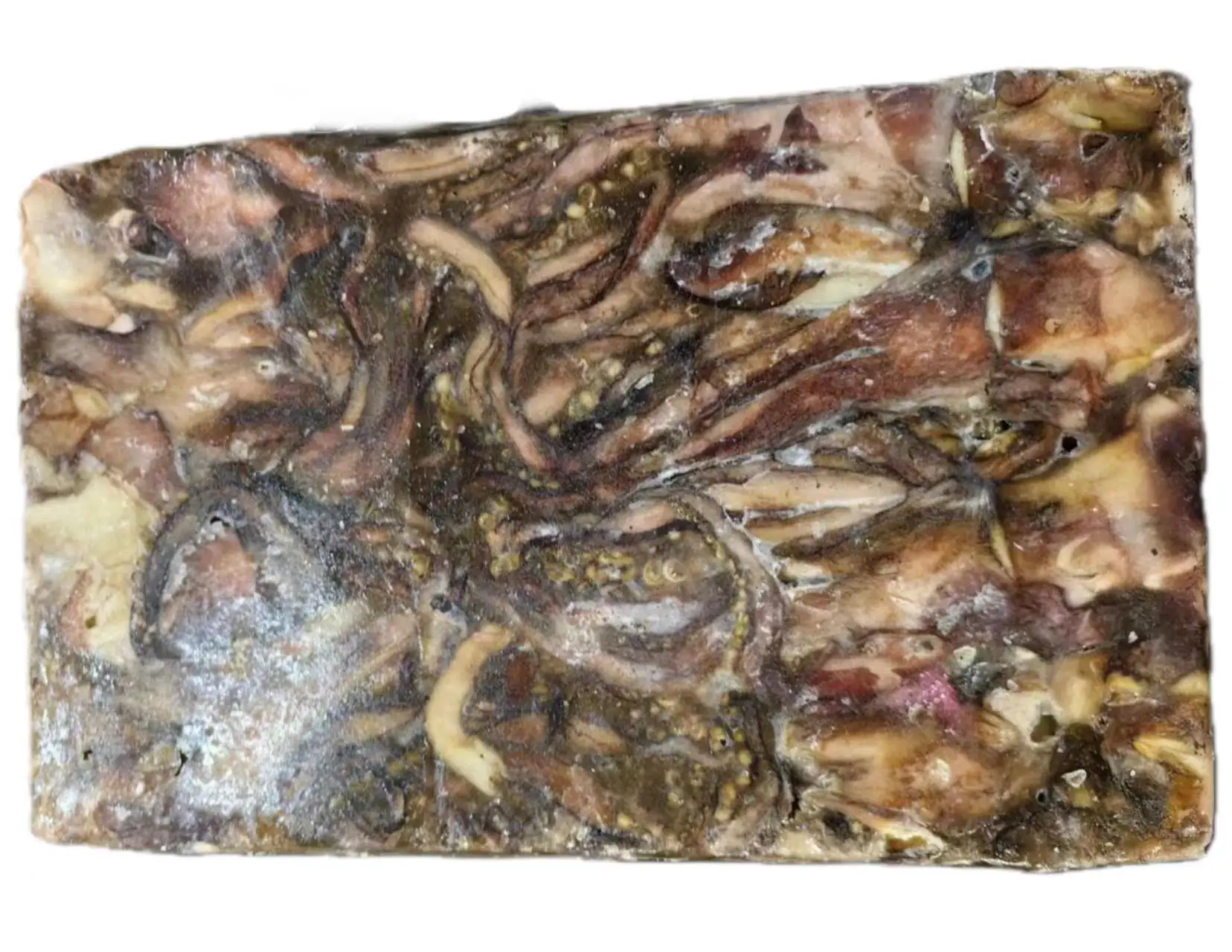 High Quality China Origin Indian Ocean Squid Head Frozen Indian Ocean Squid