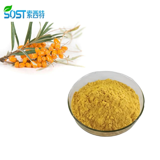 
ISO Factory Supply High Quality Natural Sea Buckthorn Berry Juice Powder 