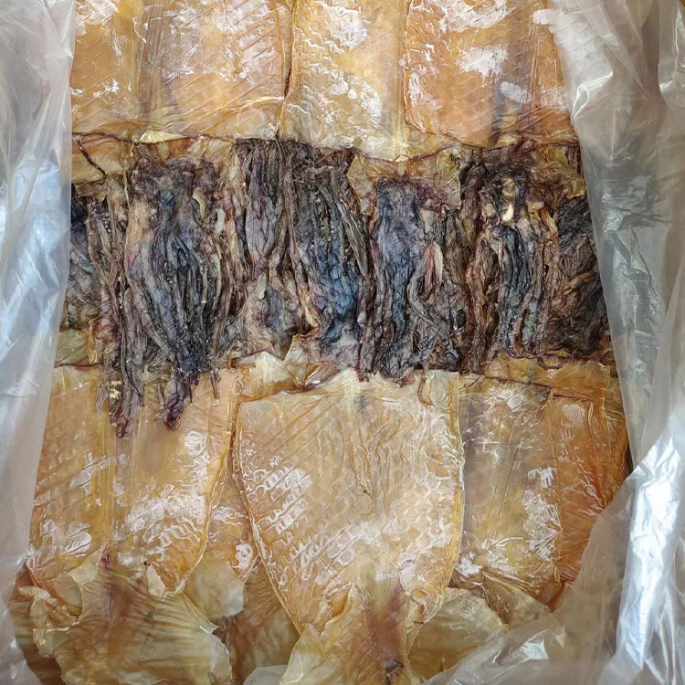 dried squid whole 10