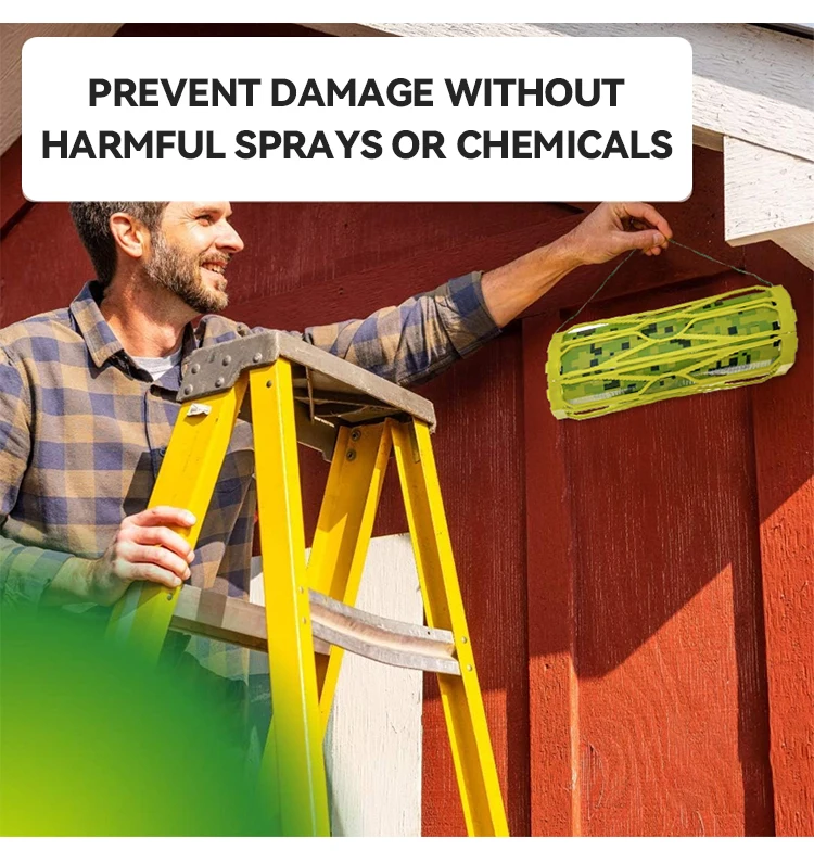 RESCUE! Wasp trap for bee non-toxic hanging outdoor TrapStik