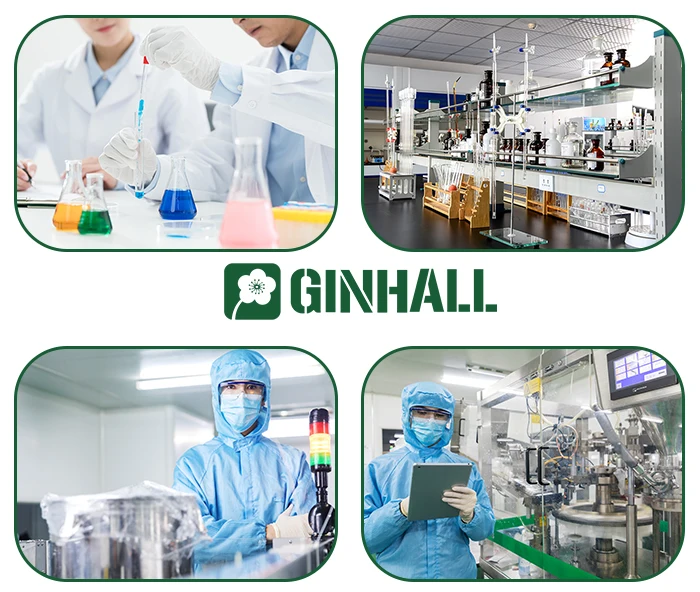 
Premium quality 10:1 ginkgo biloba, ginkgo biloba extract 