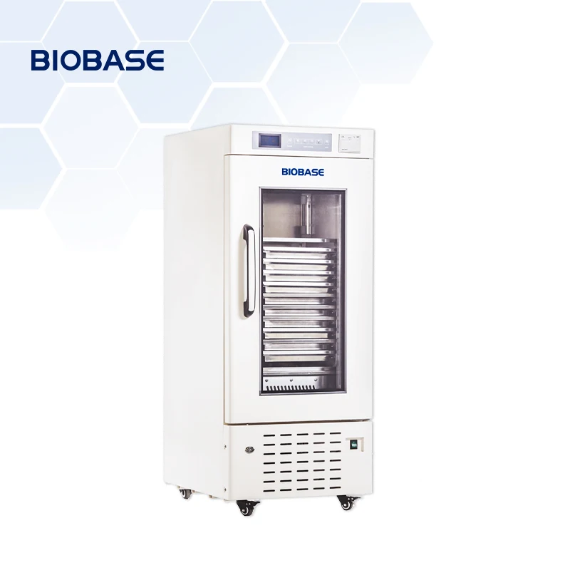 BIOBASE Factory Direct Constant-Temperature Incubator Touch Screen machine laboratory Medical Incubator