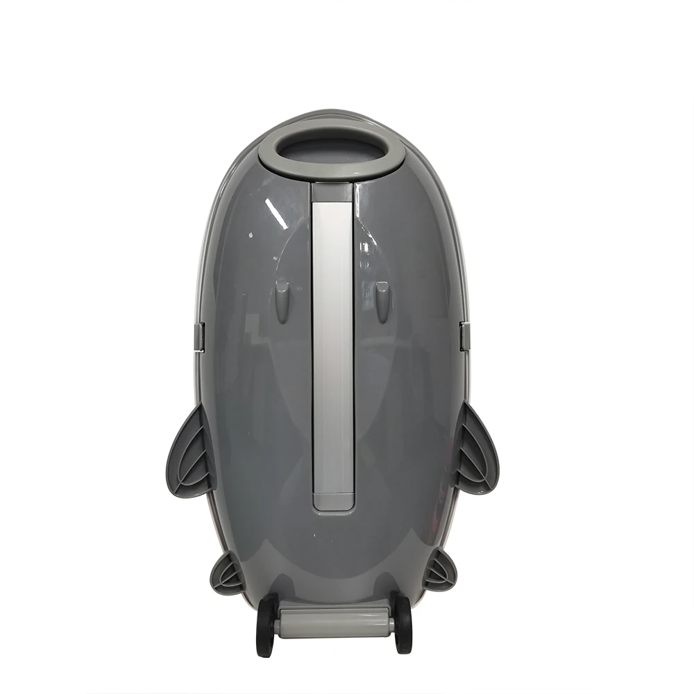 Custom Cartoon Printing Jet Kids Travel Spinner Suitcase Hard Shell Luggage Children Trolley Bags for Kids