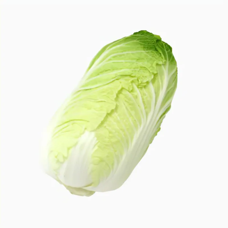 New crop China green vegetable Chinese green cabbage