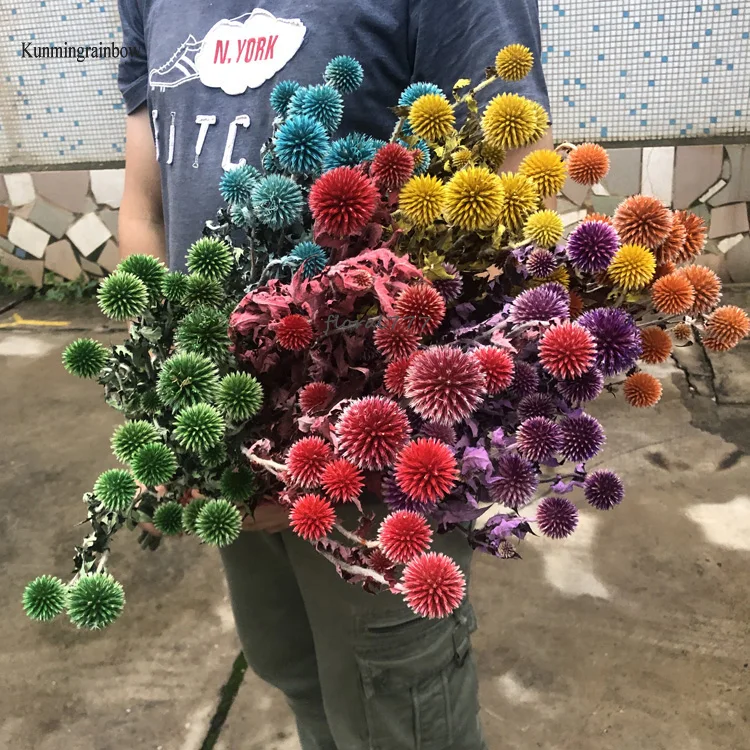 Wholesale preserved dried Globe Thistle Dried Echinops Sphaerocephalus Blue Eryngium planet flower