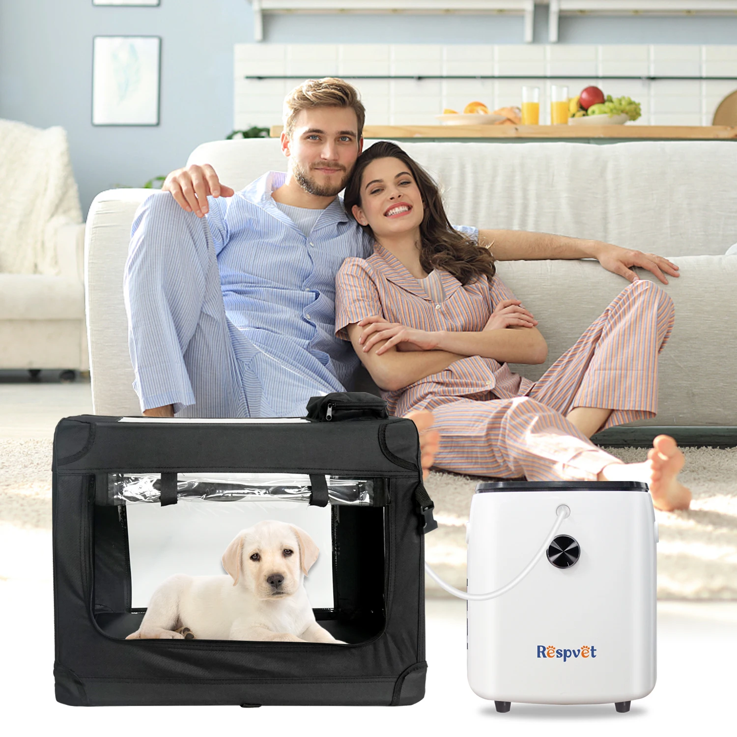 oxygen incubators for dogs small animal oxygen cage