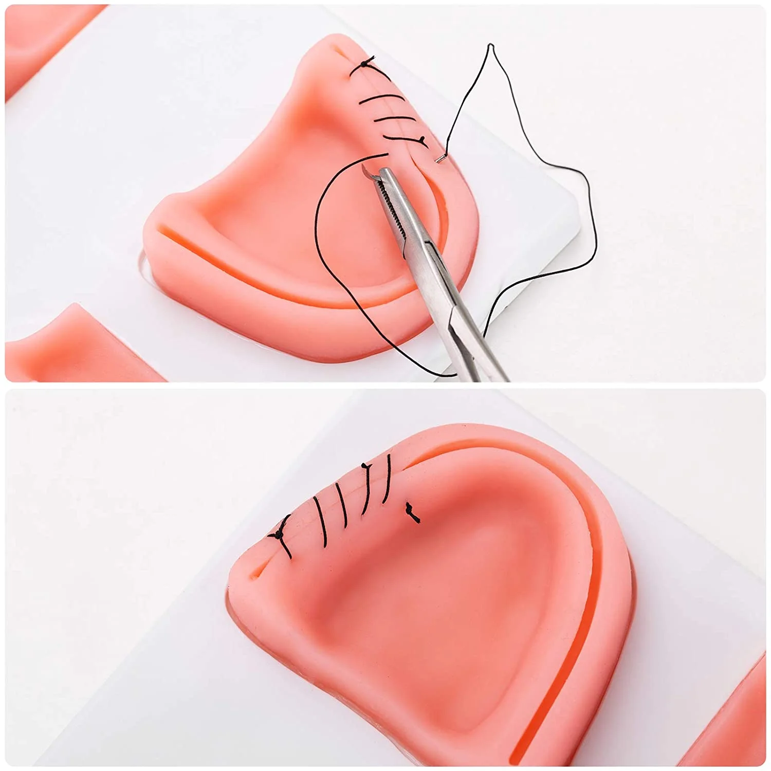 Dentistry School Surgical Simulator Pad Teeth Practice Dental Suture Model Oral School University Students Carton Manikin 230