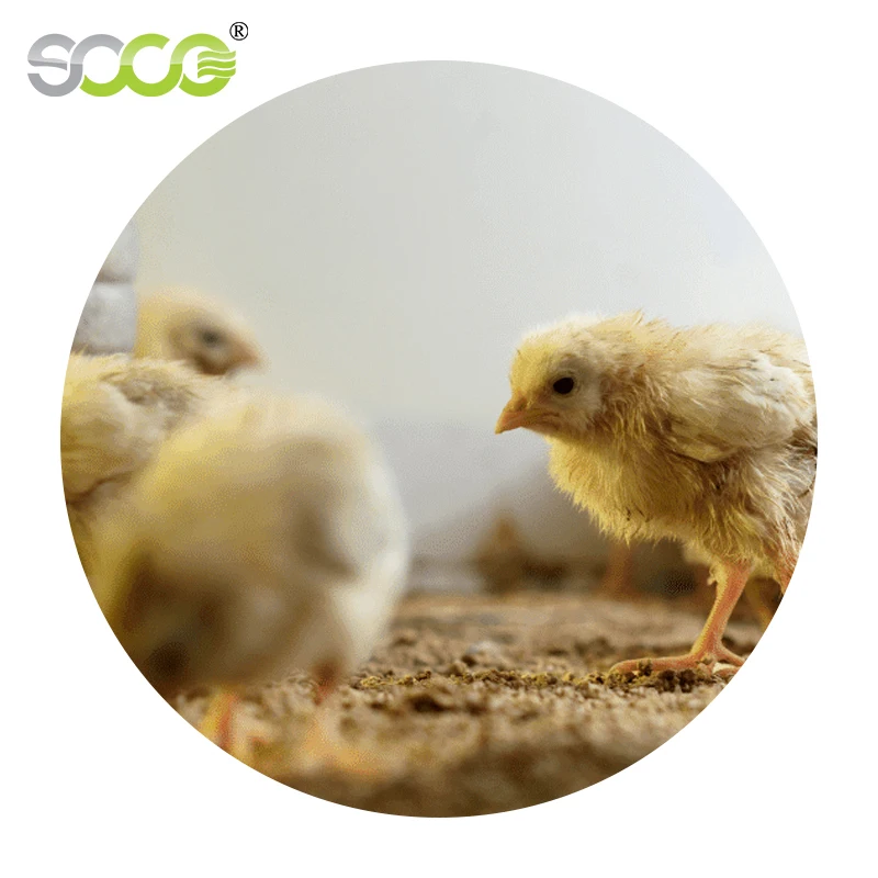 Potassium Polyacrylate Sap Water Hydrogel Agriculture Super Water Absorbent Polymer for Chick Rehydration