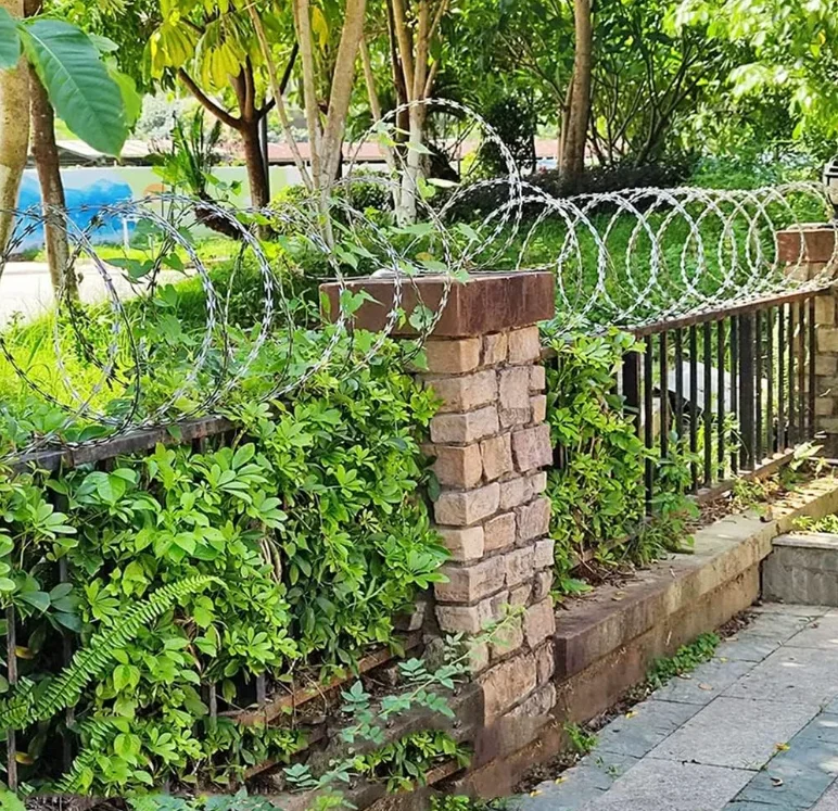 Best Price Bto 22 Concertina Wire Hot Dipped Galvanized stainless steel Razor Barbed Wire