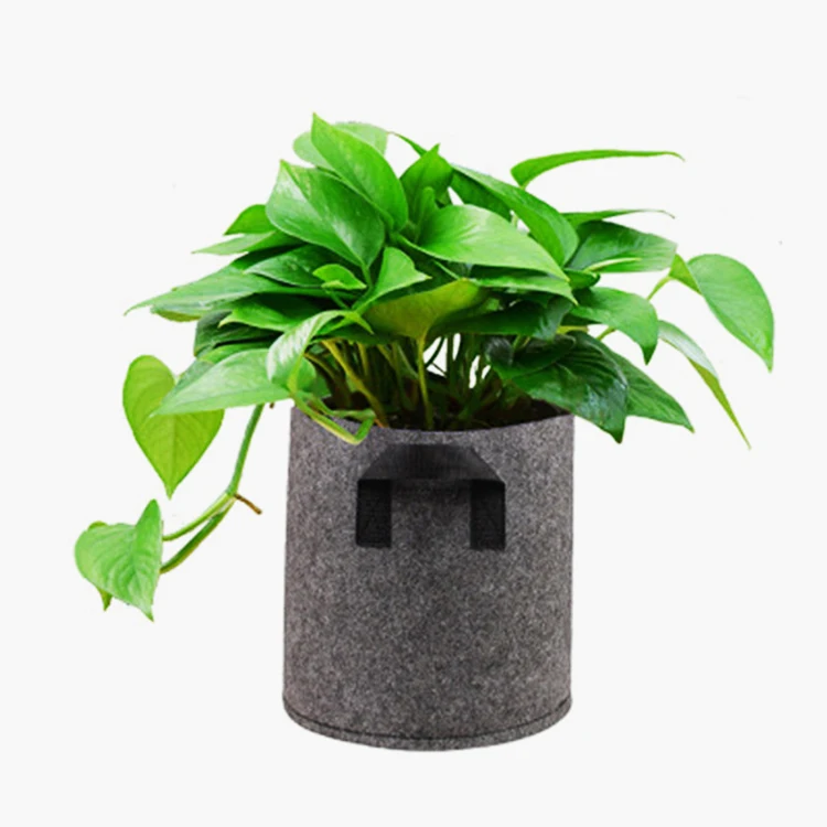 Best Price Of 5 Gallon 28*33 CM Non-woven Fabric Pots Plant Grow Bags with Handles