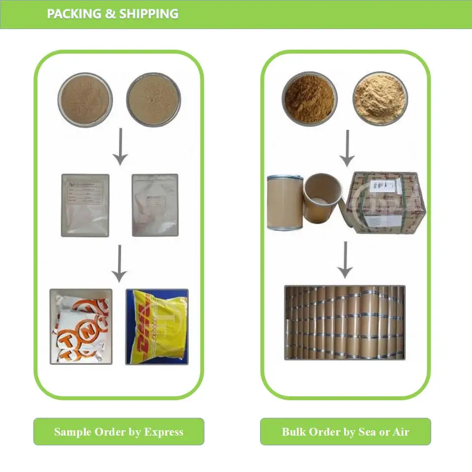 
Factory Direct Water Soluble Chitosan Powder / 9012-76-4 