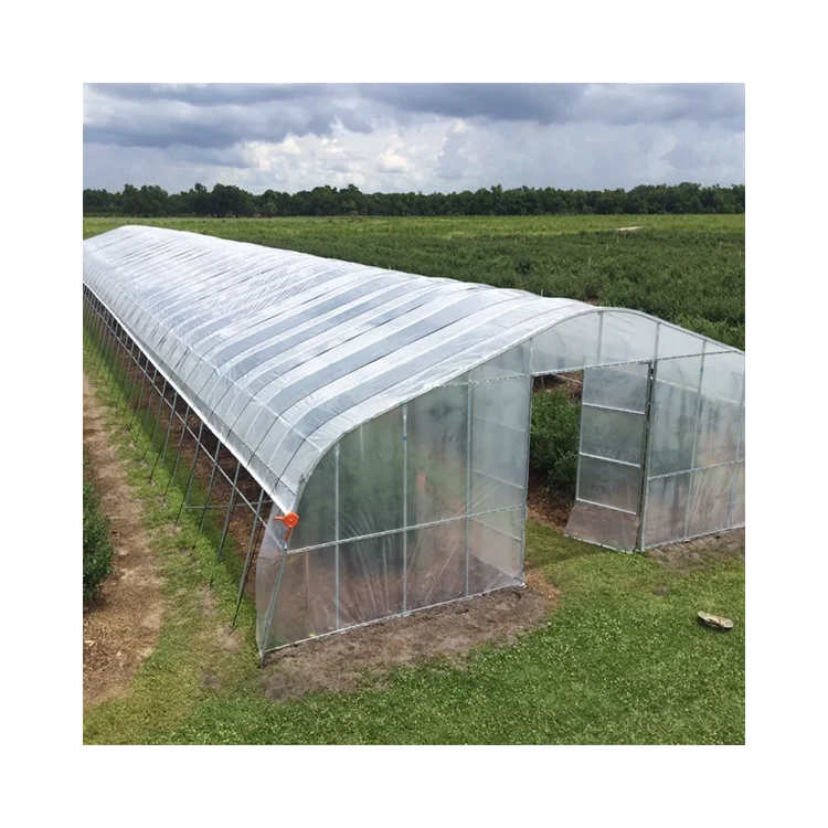 Plastic film agriculture greenhouse vegetables warm hot green house