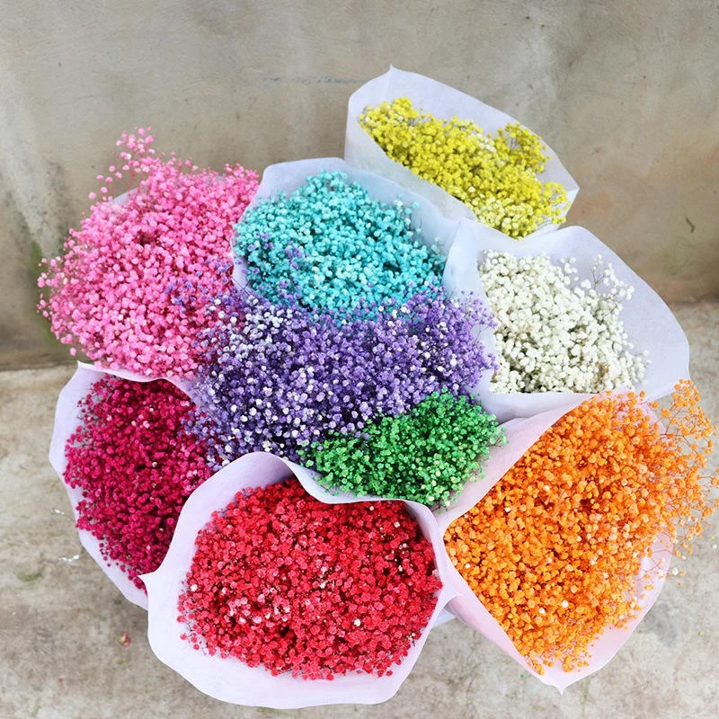 O-X296 Cheap Wholesale price A grade Dried Flower Babysbreath Bulk White Pink Natural Dried Preserved Gypsophila Flower