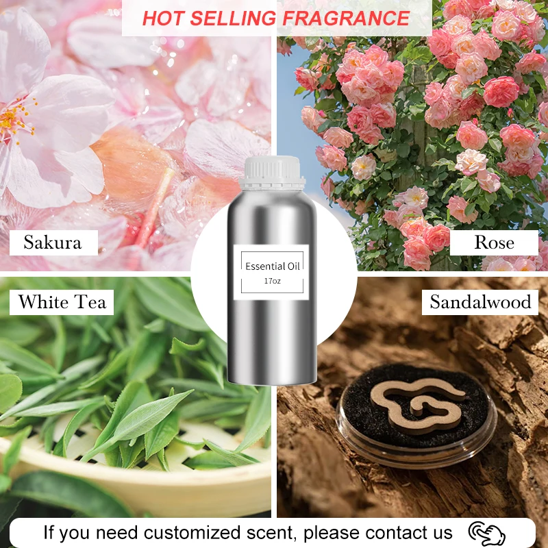 OEM Private Label Therapeutic Grade 100% Pure Organic Single Tea Tree Extract Essential Oil Moisturizing Ginger Herbal