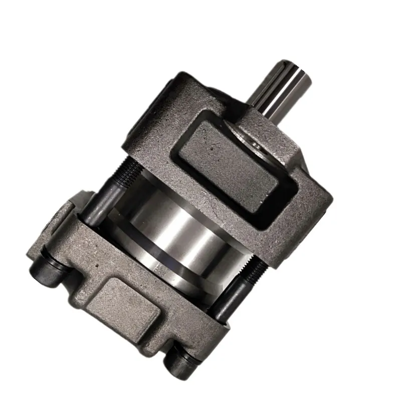 Variable Hydraulic Rotary Double Gear Pump QT62-125F-S1389-A QT21 QT22 QT23 QT31 QT32 QT33 QT41 QT42 QT43 for Sumitomo Series