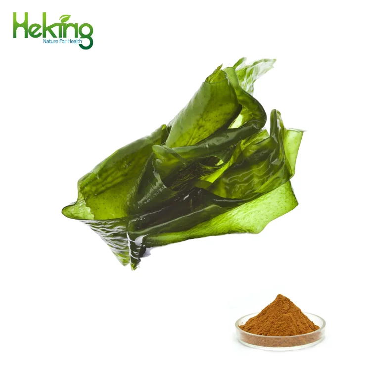 Лидер продаж 2022, экстракт морских водорослей ascophyllum для личного использования