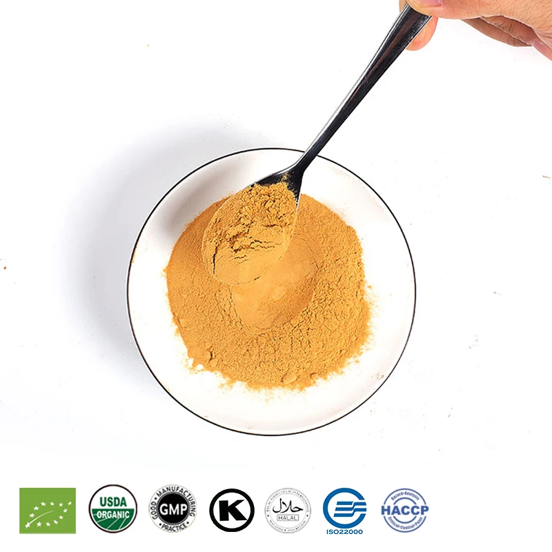Factory reasonable price Trametes versicolor mushroom polysaccharide extract powder