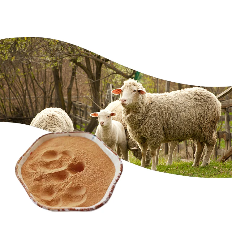 Улучшение иммунитета домашнего скота, овец, крупного рогатого скота, свиней, Bacillus Subtilis для питания животных