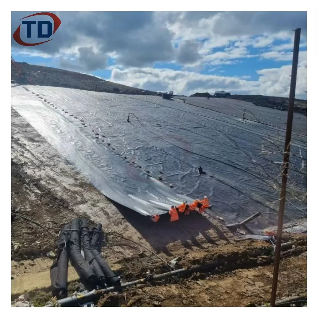 Taidong 0,5 мм 0,75 мм 1,0 мм 1,5 мм 2,0 мм Гидроизоляция hdpe Геомембраны рыбные креветки пруд геомембрана для искусственного озера