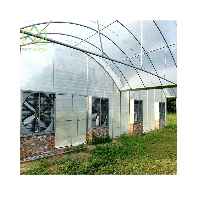 customized Hot Selling Single Span Solar Pe Film Covering Greenhouse Israel For Agriculture Low Cost Tunnel