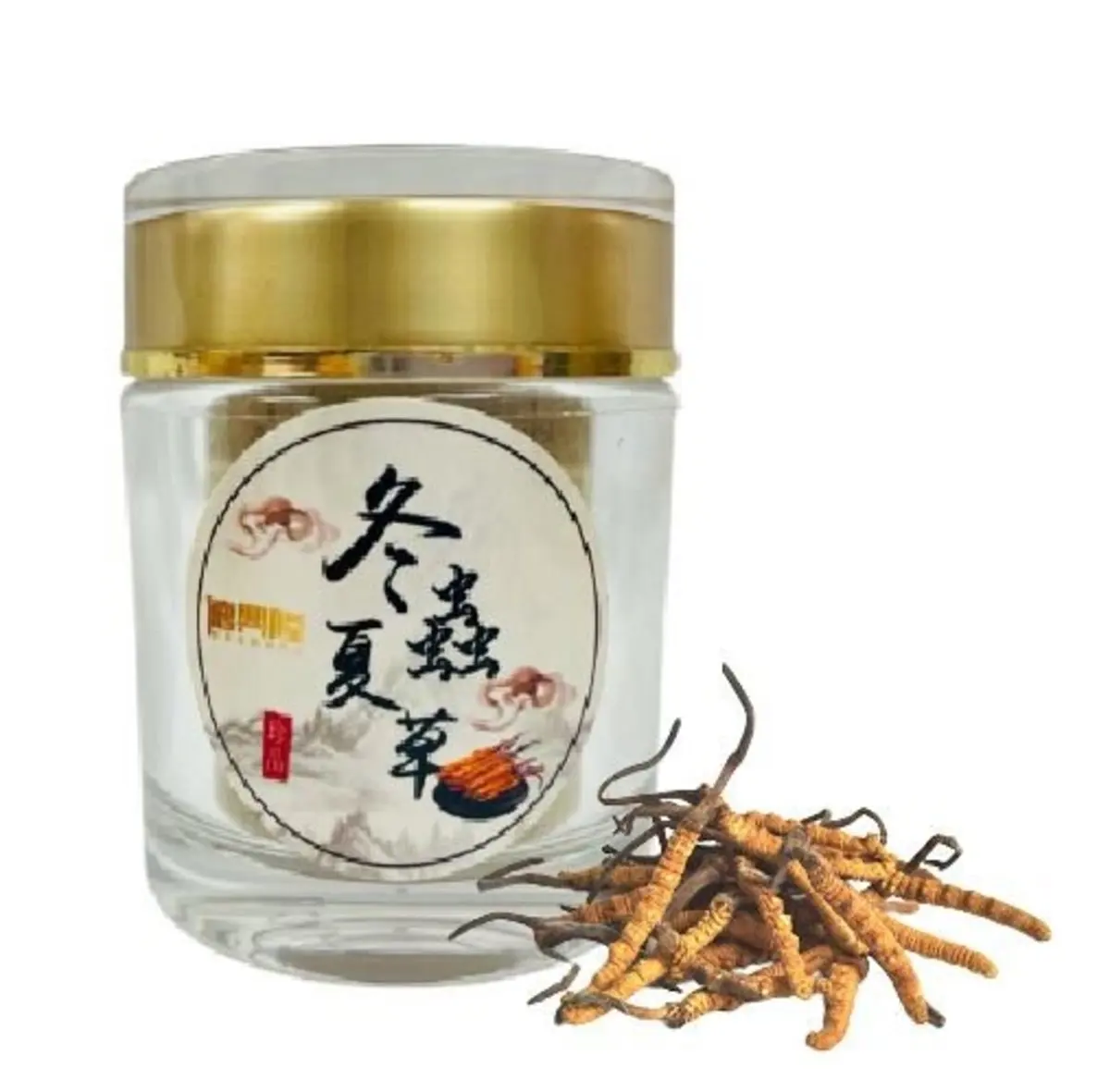 Wholesale Bulk Price Nature Organic Poudre De Cordyceps Sinensis Extract Cordycepin Powder