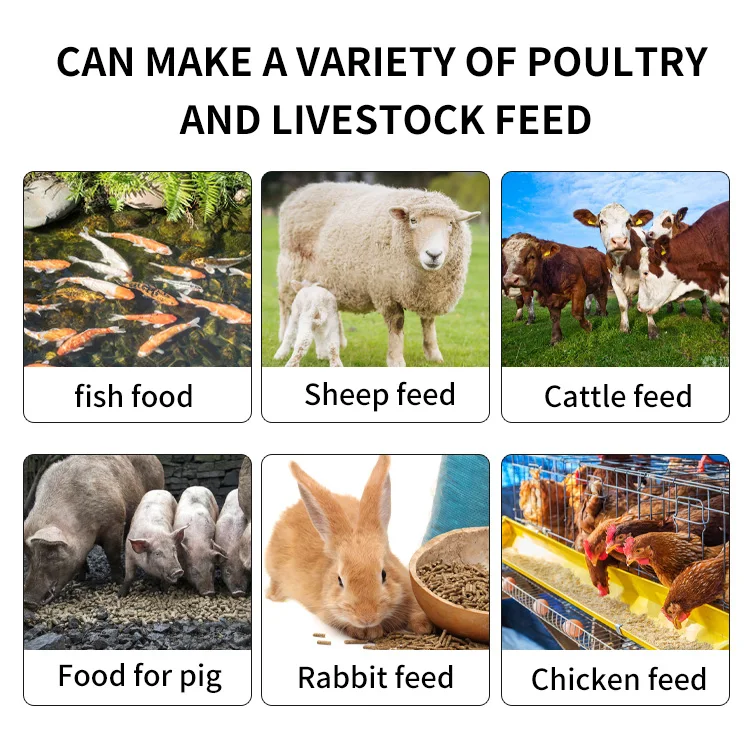 Malaysia philippines small mesin corn cob crusher chicken animal Pelletizer pellet poultry feed processing machine