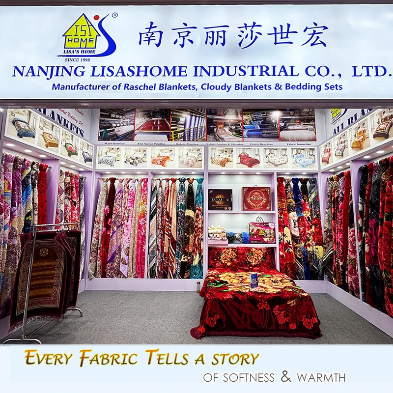 Cheap Price Customized Comfortable Raschel Flannel Single Double 1ply 2ply Printing Polyester Mink Winter Blanket for Wholesale