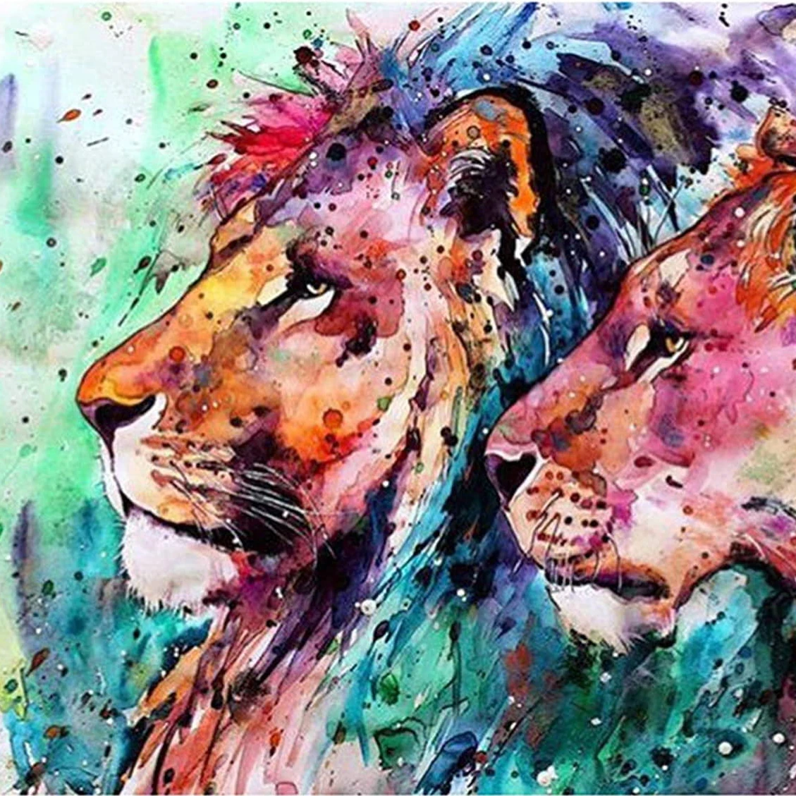 Color lion head Painting By Numbers No Frame For Adult with kid