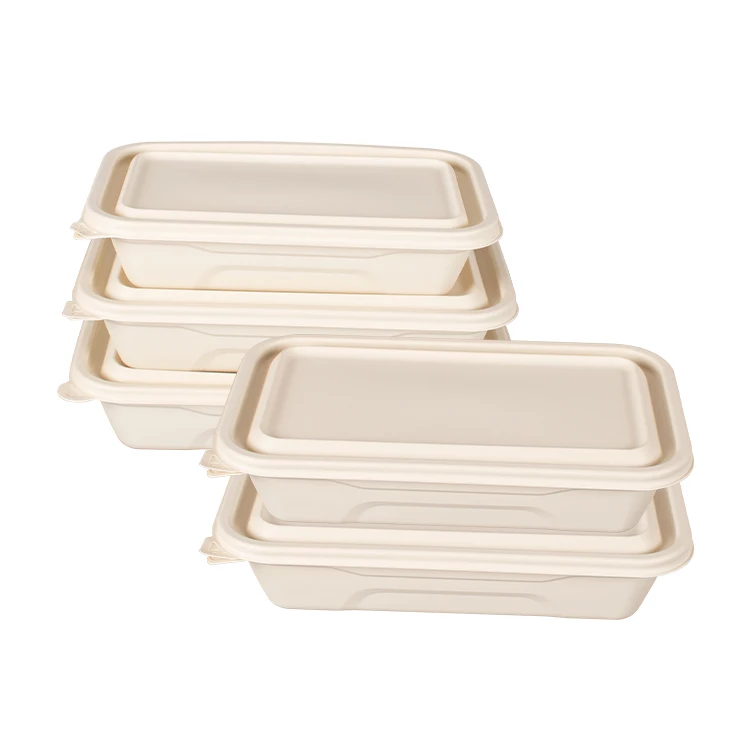 Eco 9 Inch Round Biodegradable Plates Corn Starch Disposable Tableware Lunch box