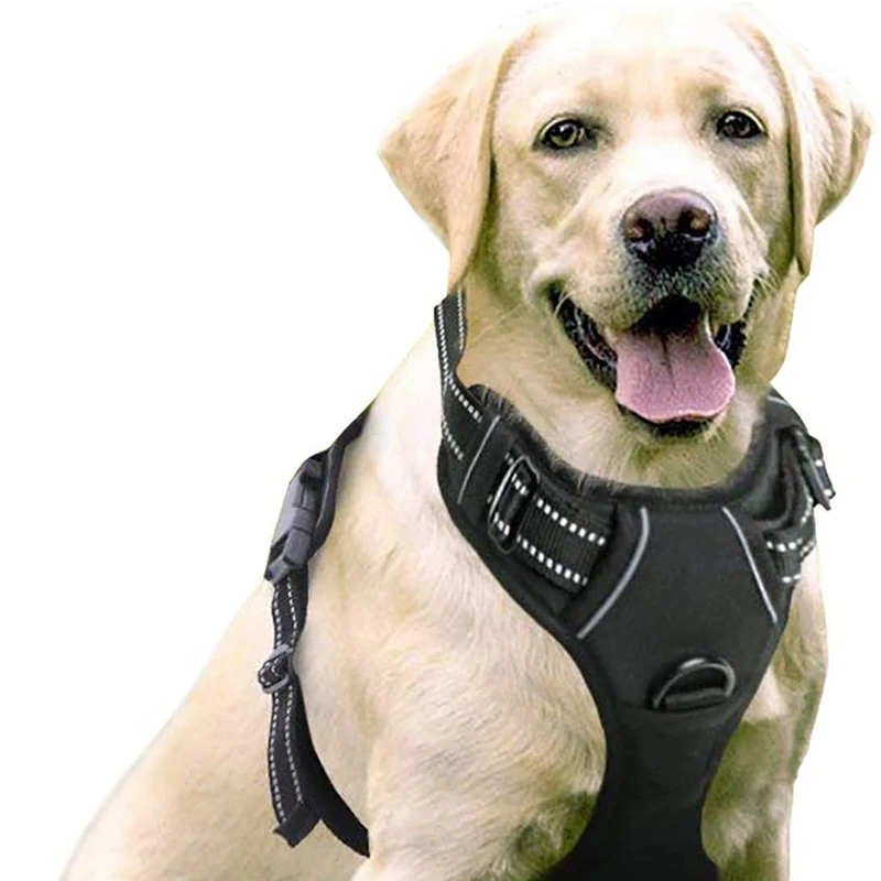 Fondopet Custom Large Small Adjustable Dog Harness No-Pull No Pull Peted Leash Dog Harness Set for Dog