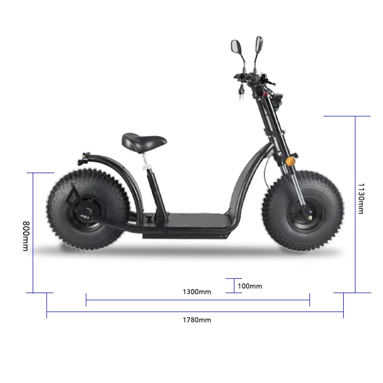 2024 popular high quality 2500W 60V 20Ah Lithium battery EEC/COC certificate 2-wheel Dual-hub motor powerful electric citycoco