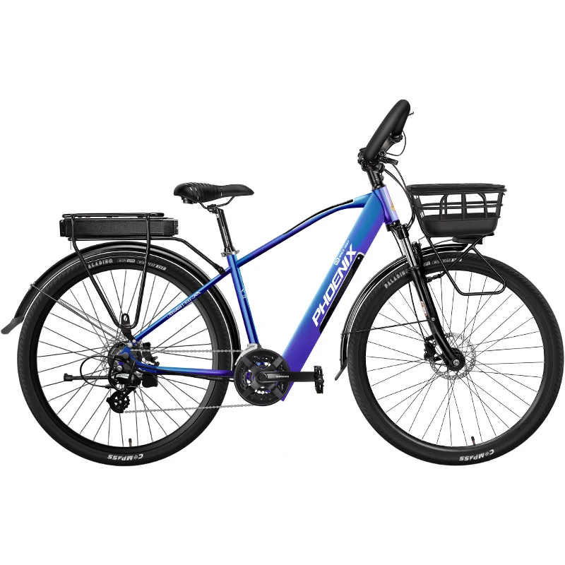 29 Inch Frame Powerful Motor 36v 350w Enduro e-Bike Fast Electric Mountain Bicycle