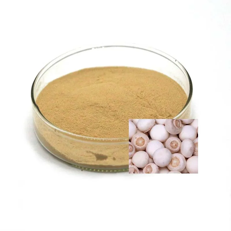  Порошок Agaricus Bisporus (белый гриб) съедобный и лекарственный