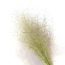 New product handmade preserved limonium carved wooden decor pressed flower wall art rattan glass