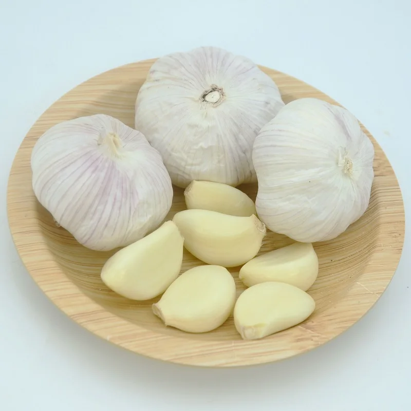 Garlic from China wholesale price of organic fresh garlic