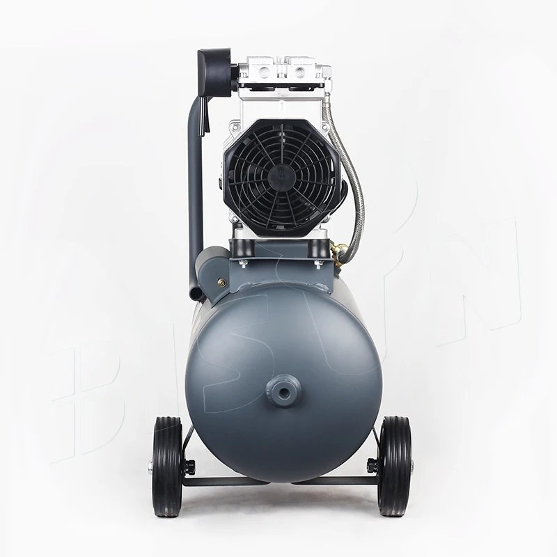 Bison China Oem 1kw 0.7mpa 24 Liter Low Noise Oil Free Air Compressor Silent 50db