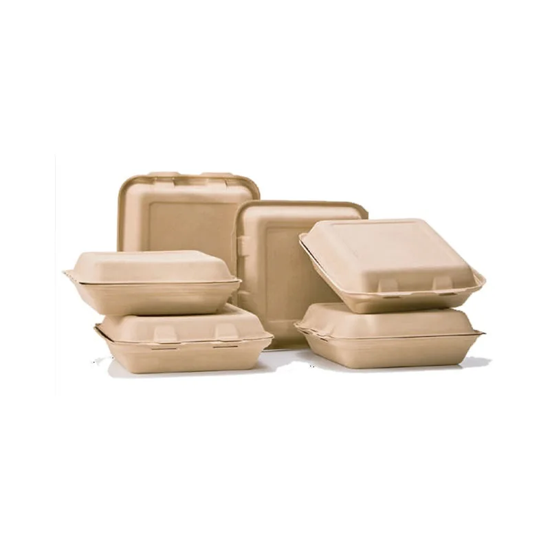 Top Quality 100% Eco-friendly Recyclable Biodegradable Protective Customized Molded Pulp Tray Packaging for Pulp Container