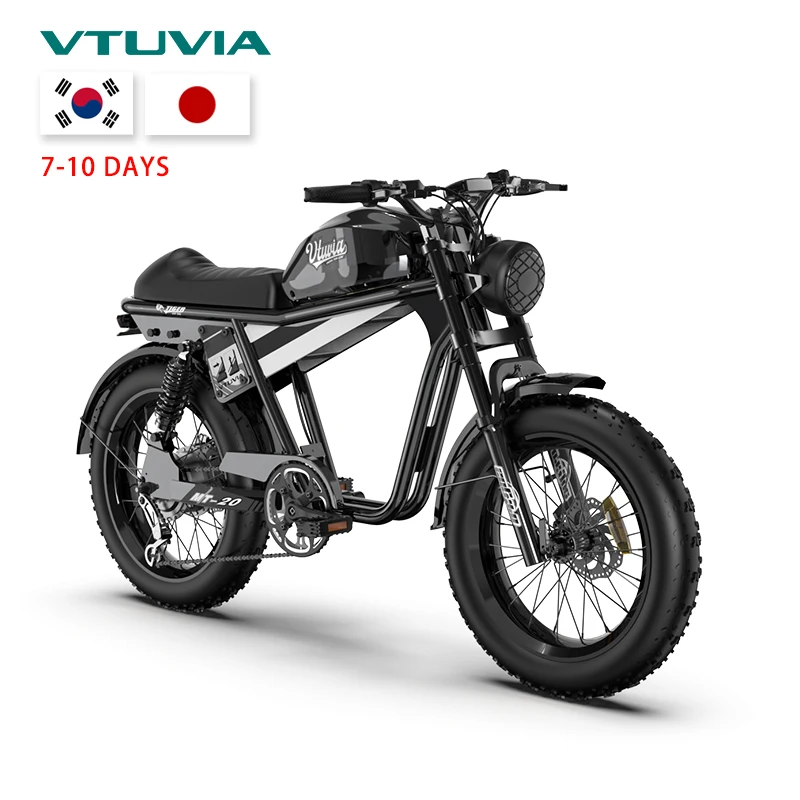 500w 750w 48v Motor Fat Tire Fast Speed Full Suspension Electric Mountain Dirt Bike City Bicycle Electric Motorcycle