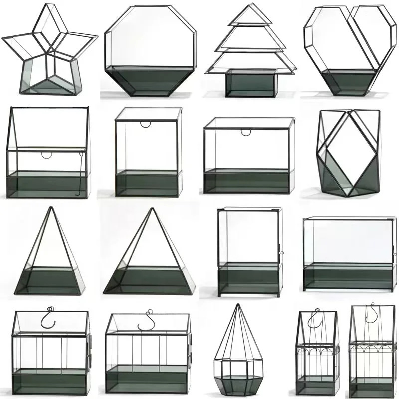 dakang Dome Hanging Plant Geometric Reptiles Do Terrarium Glass For Plants Kit Containers Miniature Wholesale With Lid